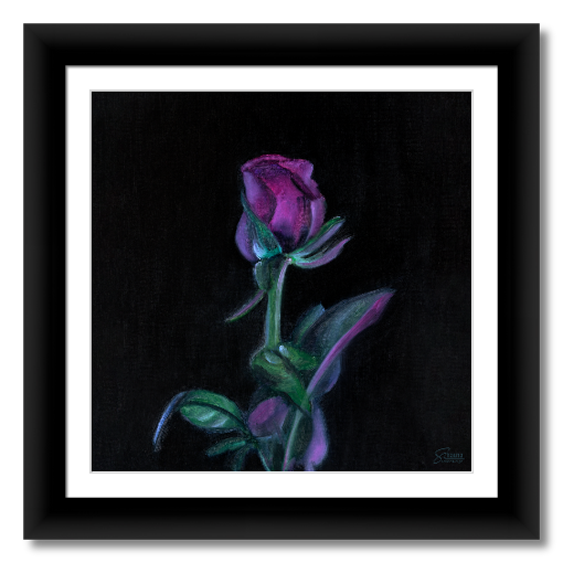 Midnight Rose - Prints