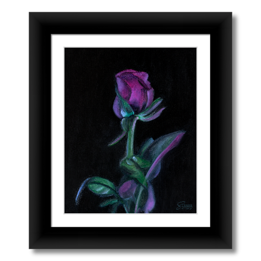 Midnight Rose - Prints